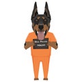 Mugshot prison clothes dog Doberman